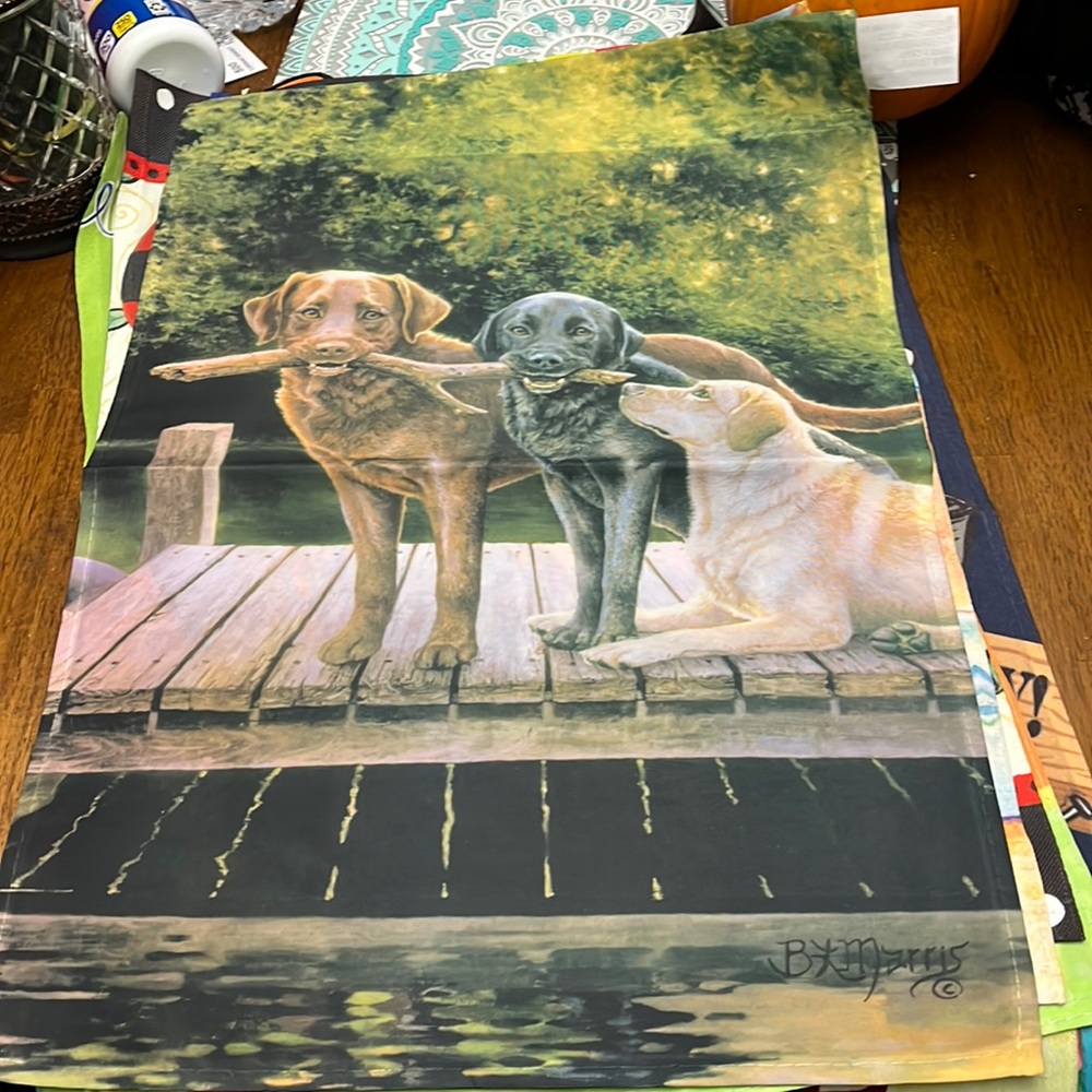 NWT MY EVERGREEN 12.5”x18” small garden flag three labs on dock,